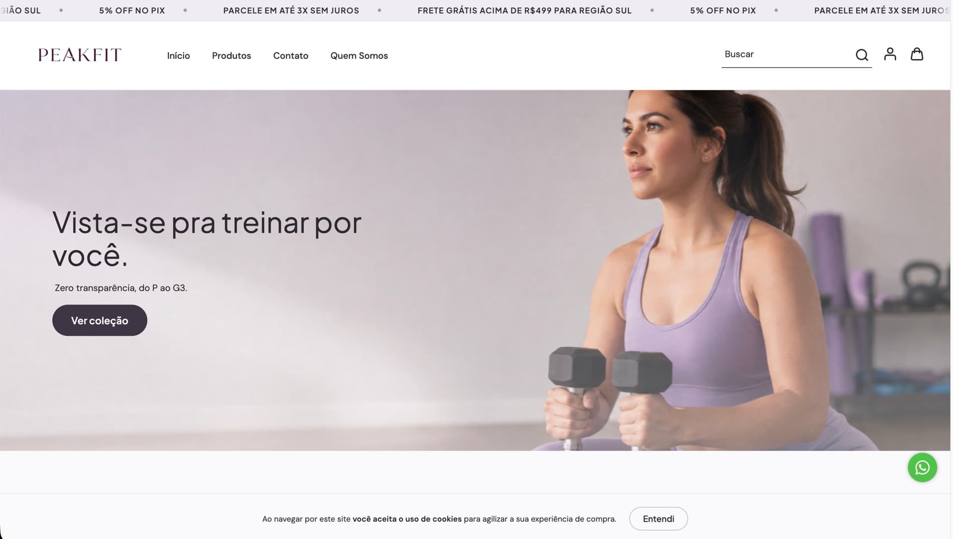 Captura da loja peakfitstore.com.br